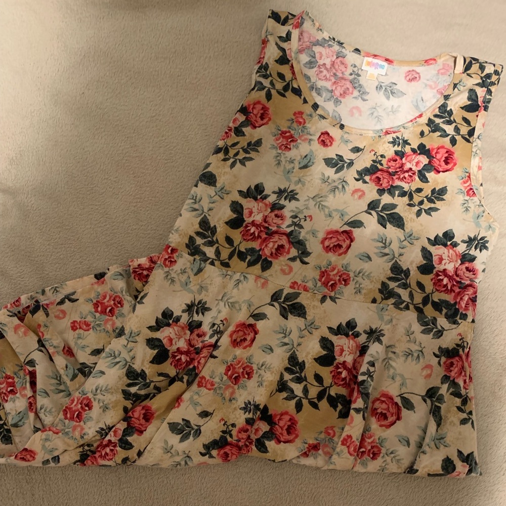 Lularoe Nicki Dress